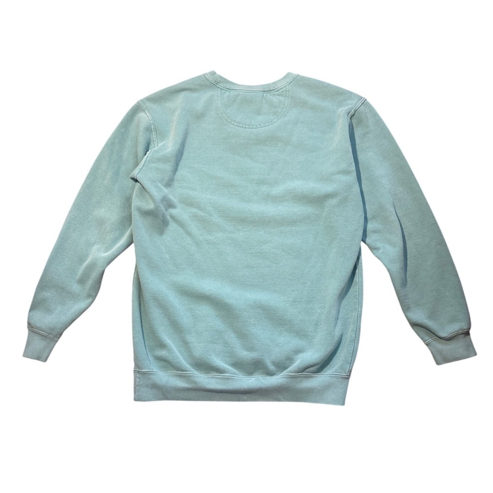 Comfort Colors Arkansas Razorbacks Sweatshirt Seafoam Green Women Small Pullover - Picture 4 of 6